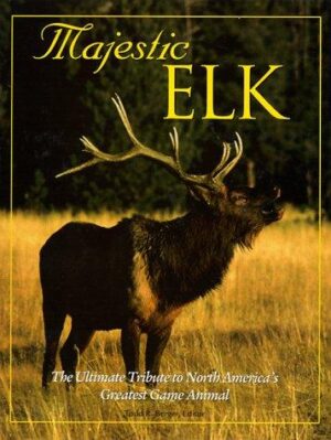 Majestic elk