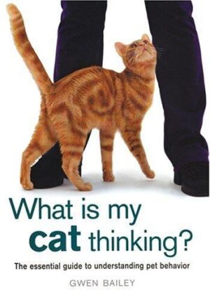 What Is My Cat Thinking?